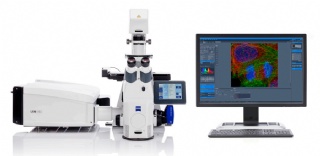 激光掃描共聚焦顯微鏡 LSM900/980 激光掃描共聚焦顯微鏡 LSM900/980