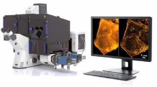 超高分辨率顯微鏡3D成像系統Elyra 7 with Lattice SIM 超高分辨率顯微鏡3D成像系統Elyra 7 with Lattice SIM